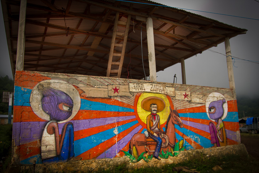 Viva Purple | Garucha, Chiapas